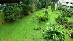 Pine Grove (D21), Condominium #367025491